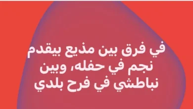 ماجدة خير الله تعبر عن انتقادها لطريقة تقديم حفل شيرين: "هناك فرق بين المذيع والنباطشي"