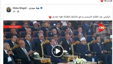 محمد محسن يعبر عن شكره للرئيس السيسي على الدعم الإنساني لهبة مجدي