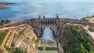 مشروع سد جوليوس نيريري في تنزانيا: إنجاز مصري جديد في مجال توليد الكهرباء