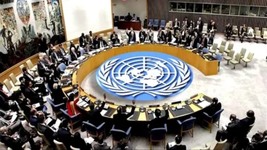 مصر تؤكد في مجلس الأمن: لا لتقسيم السودان أو المساس بسيادته