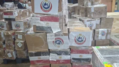 مصر ترسل 10 أطنان من الأدوية كمساعدات إلى لبنان