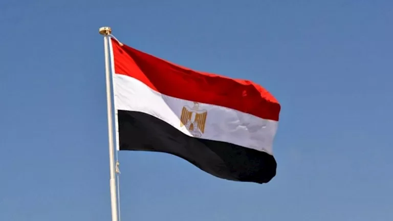 مصر تعلن تضامنها مع النيجر وتؤكد على أهمية استقرار مؤسساته بعد الهجمات المسلحة