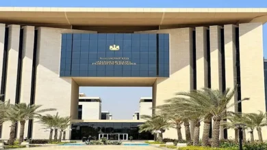 مصر وبريطانيا تؤكدان على أهمية تنفيذ خطة ترامب للسلام في غزة