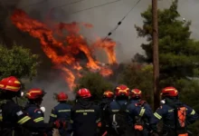 مصرع 12 شخصاً في حرائق غابات بعدة ولايات جزائرية