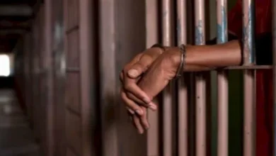 مقتل مصرية في ألمانيا بعد حكم بالسجن 12 عاماً على زوجها