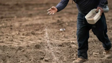 مكاسب مالية ضخمة لشركات الأسمدة في مصر نتيجة أزمة الشرق الأوسط