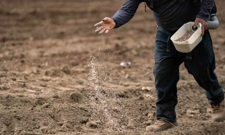 مكاسب مالية ضخمة لشركات الأسمدة في مصر نتيجة أزمة الشرق الأوسط