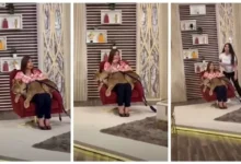 منال سلامة تظهر مع شبل في أحدث إطلالة والجمهور يتفاعل: "يا قلبك"