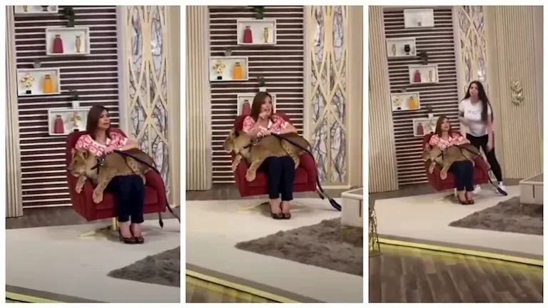منال سلامة تظهر مع شبل في أحدث إطلالة والجمهور يتفاعل: "يا قلبك"