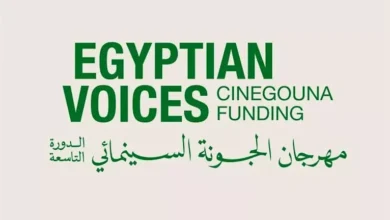 مهرجان الجونة السينمائي يعلن عن برنامج جديد لدعم السينما المصرية