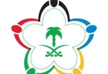 نقل ملكية أسهم المؤسسات غير الربحية إلى صندوق الاستثمارات وحل مجالس إدارات الأندية الكبرى
