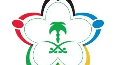 نقل ملكية أسهم المؤسسات غير الربحية إلى صندوق الاستثمارات وحل مجالس إدارات الأندية الكبرى