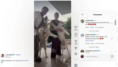 نور عمرو دياب تحتفل بعيد ميلاد ياسين رشدي بأجواء موسيقية مميزة