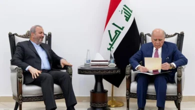 وزير الخارجية يؤكد للسفير الإيراني أهمية الحوار والحلول السلمية لأزمات المنطقة