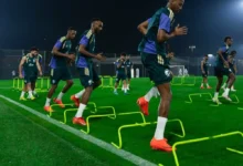 23 عاماً من الإنجازات بين المنتخب الوطني والميداليات الذهبية
