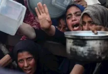 900 ألف شخص في الضفة يعانون من انعدام الأمن الغذائي وفقاً للأغذية العالمي