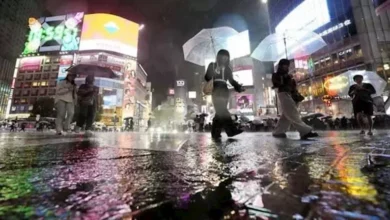 إعصار "دوجوان" يسبب انهيارات أرضية وأضراراً في اليابان