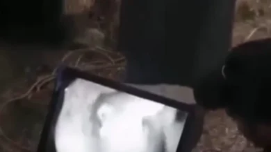 إنقاذ طفلة سقطت في بئر في نينوى