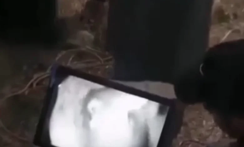 إنقاذ طفلة سقطت في بئر في نينوى