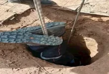 استمرار جهود إنقاذ الطفل أيوب العالق على عمق 80 مترًا في الجزائر