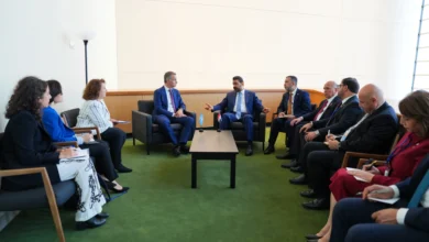 الزيدي وبرنامج الأمم المتحدة الإنمائي يؤكدان على تعزيز الاستقرار في المنطقة