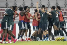 السعودي "فارس" يتألق في الميدان رغم خسارة "الأخضر"