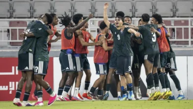 السعودي "فارس" يتألق في الميدان رغم خسارة "الأخضر"