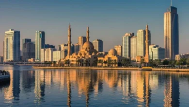 الشارقة تجذب 142 مشروعاً استثمارياً بقيمة 2.11 مليار دولار في عام 2025