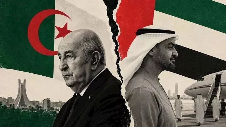 الصدام بين الجزائر والإمارات: أسباب القطيعة وتداعياتها على المنطقة