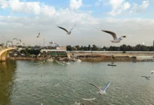 العراق يستقبل انخفاض درجات الحرارة بعد موجة الحر الأربعينية