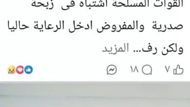 الملحن صالح أبو الدهب يواجه أزمة صحية ويطلب الدعم من نقابته