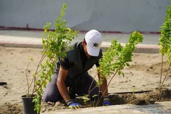 بغداد تستعد لزراعة 190 ألف شجرة وشجيرة ضمن خطة لتخضير العاصمة خلال فصل الخريف