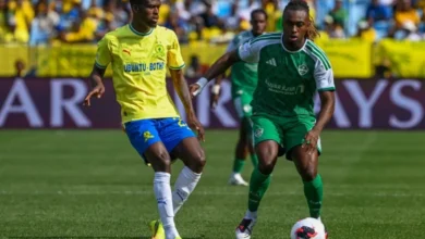 بوسيتش: أداء متذبذب يثير قلق جماهير الأهلي
