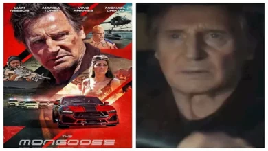 تسريب فيلم ليام نيسون الجديد "النمس" قبل شهر من عرضه في دور السينما