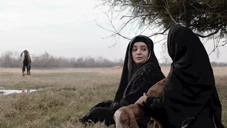 ثلاثة مشاريع سينمائية مدعومة من المورد الثقافي تشارك في مهرجان الجونة التاسع