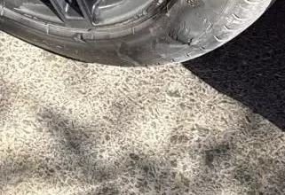 جوري بكر تفصح عن حادث سير تعرضت له: "انفجار الإطار"