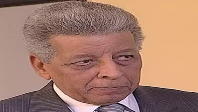 دعوة لفرض رقابة على الأعمال الفنية: تفاصيل حول الفنان خليل مرسي