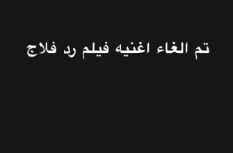 رامي صبري يوضح مستقبل أغنيته الدعائية لفيلم "ريد فلاج"