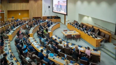 رانيا المشاط تحذر من تداعيات اضطراب الممرات البحرية على الاقتصاد العالمي