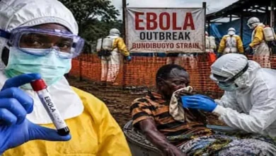 سلالة مميتة من "إيبولا" تثير القلق العالمي وتزيد مخاوف تفشي الفيروس