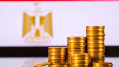 صندوق النقد الدولي يؤكد قدرة الاقتصاد المصري على مواجهة صدمات الحرب