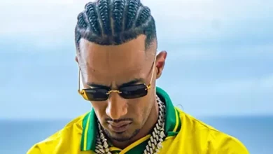 طارق الشناوي: محمد رمضان يتصدر قائمة الأجور رغم تراجع إيرادات السينما