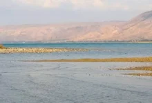 "طبرية: ضحية للطحلب المصري الذي لم يصل إليها"