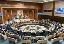 عبد العاطي: جميع الدول مهددة بالخطر