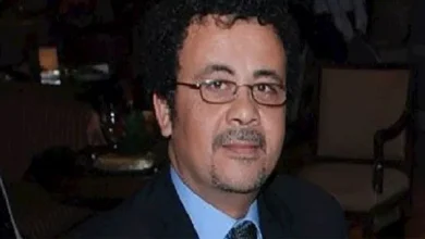 "عمرو عرفة يعبر عن رأيه بشأن قطع الأشجار في شارع جامعة الدول العربية"