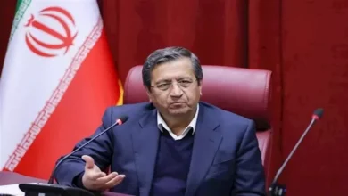 محافظ البنك المركزي الإيراني ينفي ادعاءات انهيار الاقتصاد الإيراني