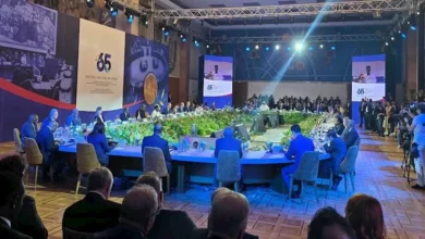 مصر تؤكد في ذكرى "عدم الانحياز" أن الحياد لا يعني تجاهل التحديات الدولية