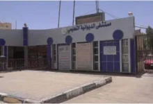 نجاح عملية ولادة لسيدة حامل بثلاثة توائم في الديوانية
