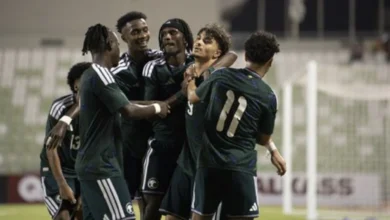 نقاط عُمان تفتح الطريق أمام «أخضر 20» نحو الصين