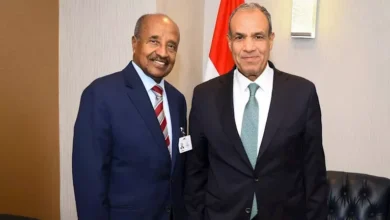 وزير الخارجية العراقي يبحث مع نظيره الإريتري أمن البحر الأحمر وتطورات المنطقة